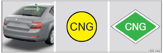 Fig. 202 Position de l'autocollant GNC / l'autocollant GNC