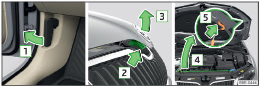 Fig. 203 Ouverture du capot