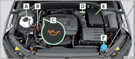 Fig. 204 Schéma du principe : Compartiment moteur