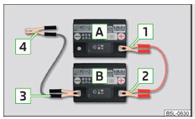 Fig. 224